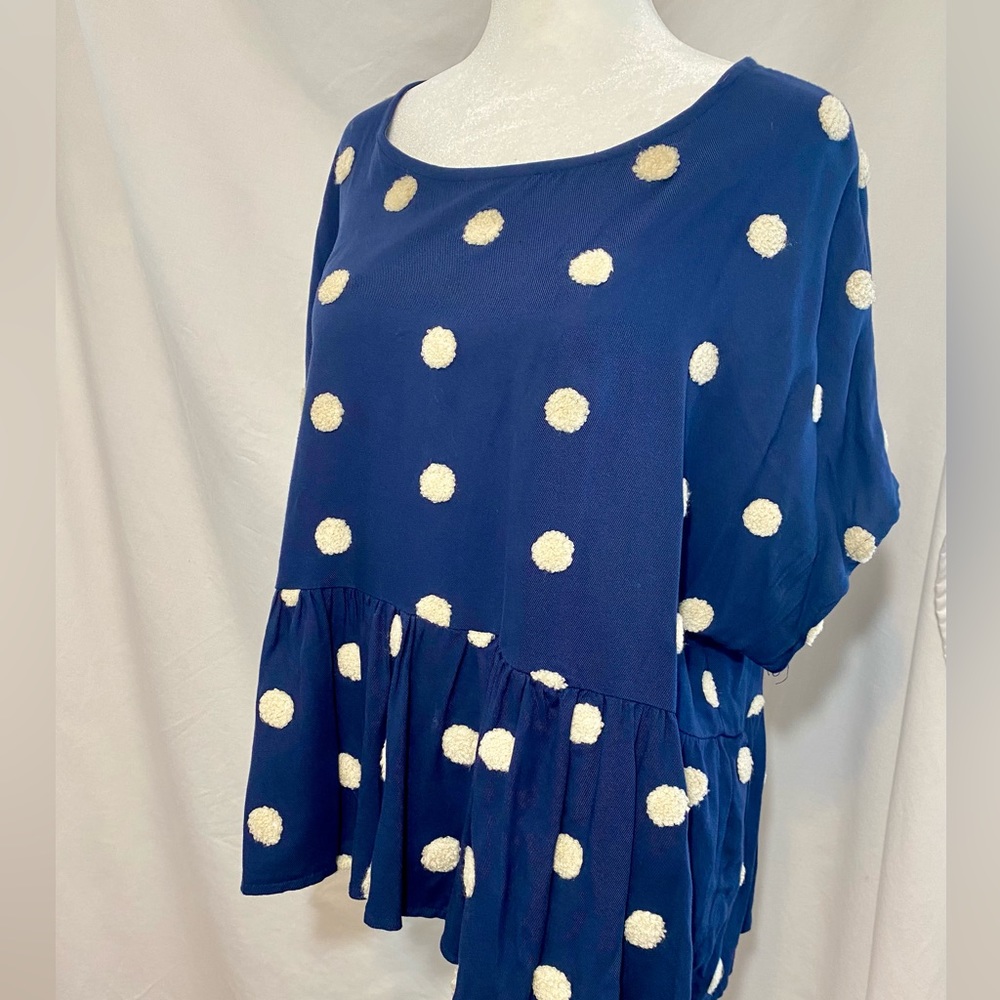 Blu Pepper Embroidered Polka Dot Blouse